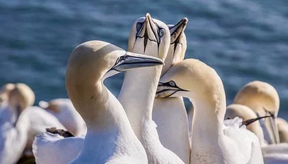 曹赟定：踢了将近30年球，最后一年斯卢茨基觉得我适合搞田径