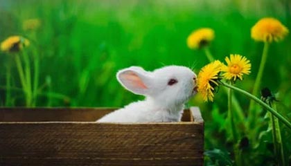 曹赟定:踢了将近30年球,最后一年斯卢茨基觉得我适合搞田径